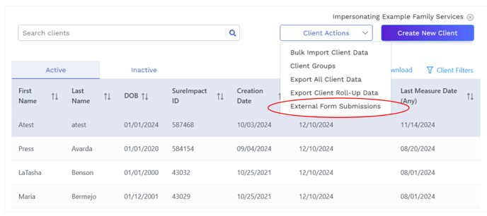 Select External Form Submissions in the Client Tab Drop-Down Menu